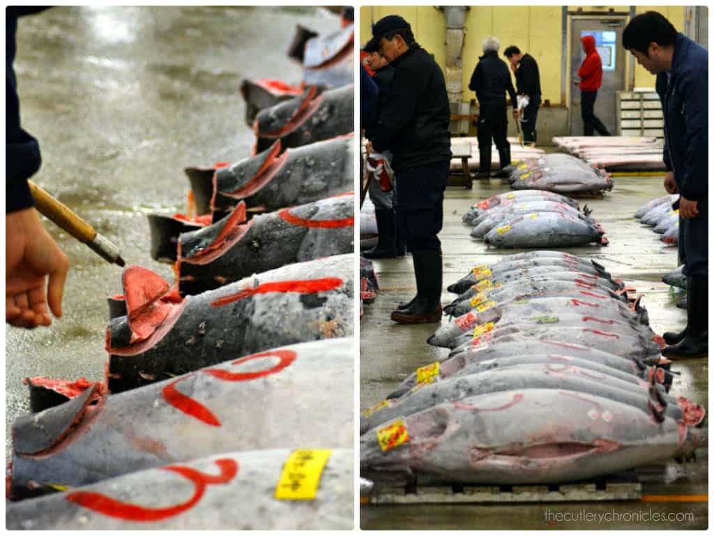 JAPAN | Tsukiji fish market tuna auction - 10 FAQ's answered