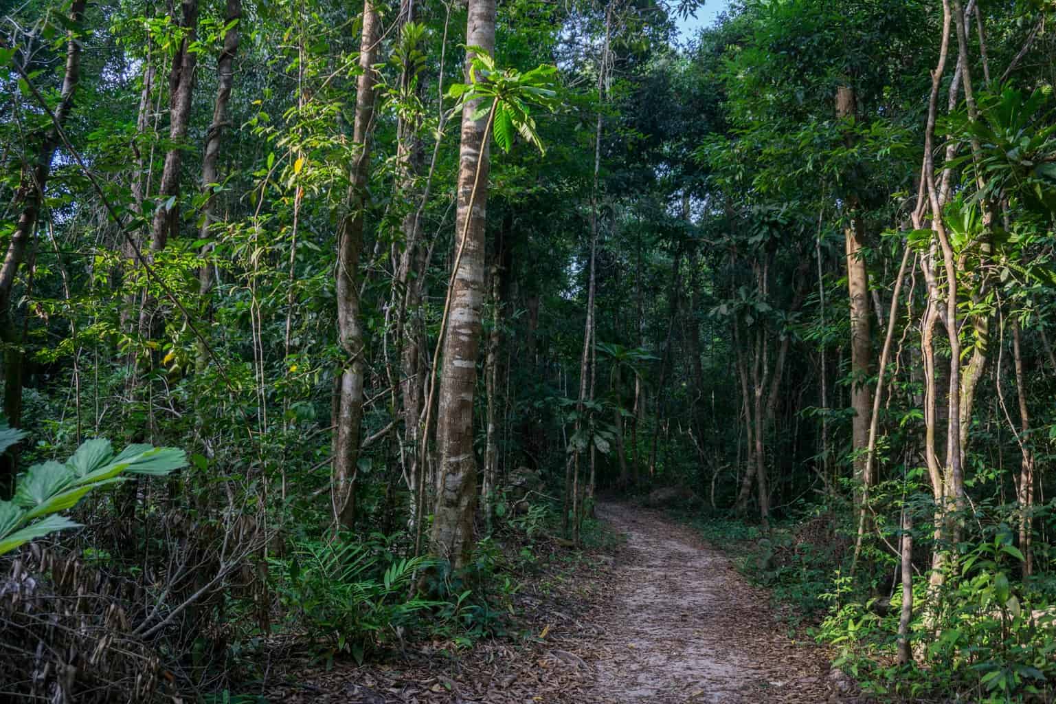 Week 14 CAMBODIA | Sihanoukville & Koh Rong Samloem Island