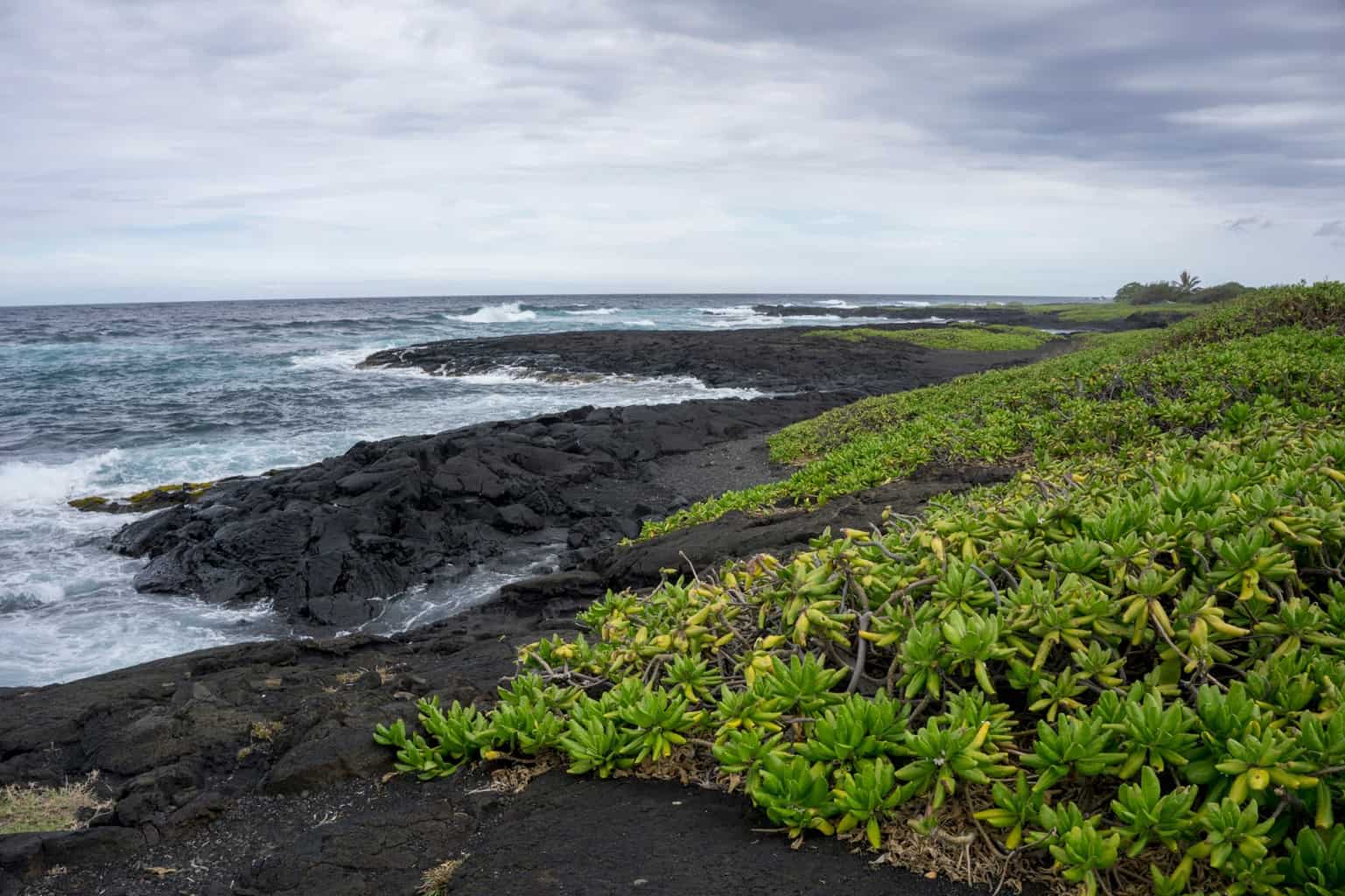 The Hawaii Chronicles: A Week on Maui | Travel usa, Hawaii 