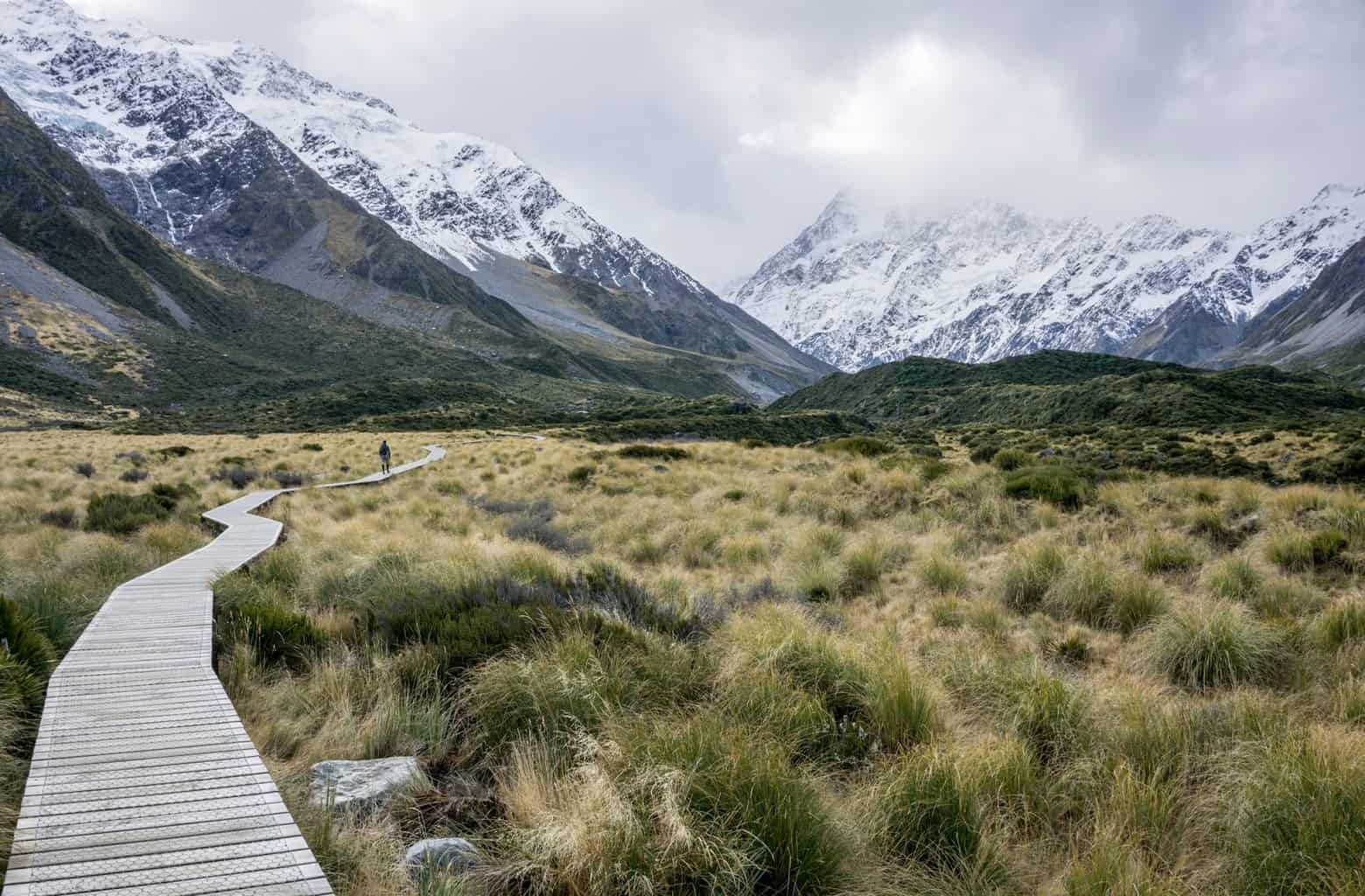 Week 24 NEW ZEALAND | Lake Tekapo, Mount Cook, Queenstown, Milford Sound