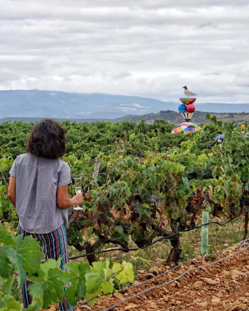 Campo Viejo Bodegas in La Rioja - 7 awesome things to do in Bilbao and La Rioja