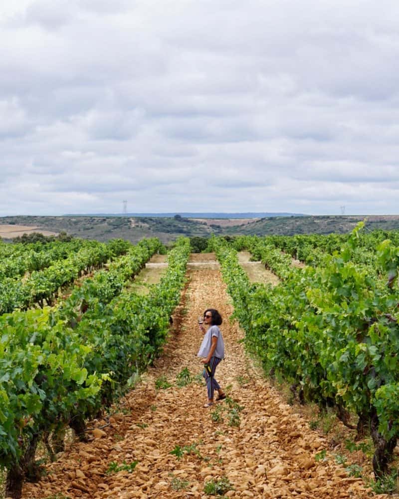 Campo Viejo Bodegas in La Rioja - 7 awesome things to do in Bilbao and La Rioja