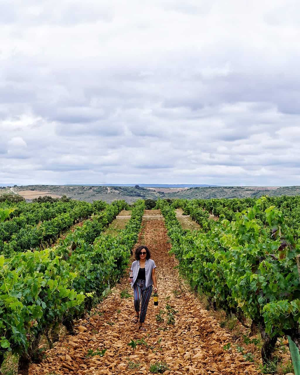 Campo Viejo Bodegas in La Rioja - 7 awesome things to do in Bilbao and La Rioja