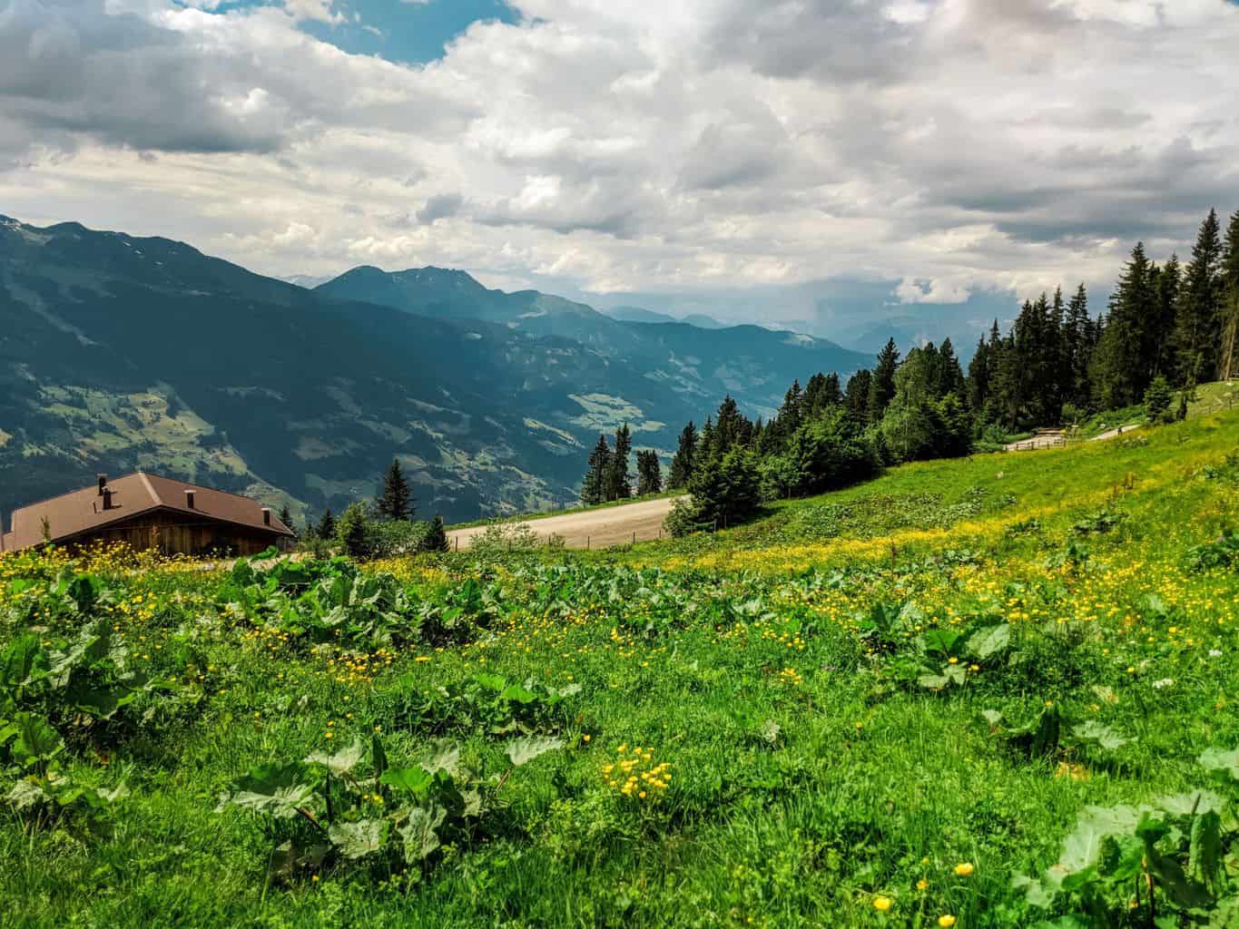 7 Fab Things To Do On Your Austria Trip to Zillertal in Tirol, Alps in Austria, things to do in Austria, Austria travel