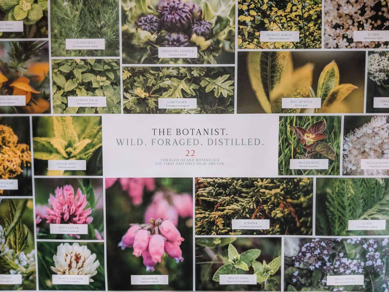 Reasons To Love The Botanist Gin From Scotland's Isle of Islay, Islay distilleries, Bruichladdich distillery, Islay gin