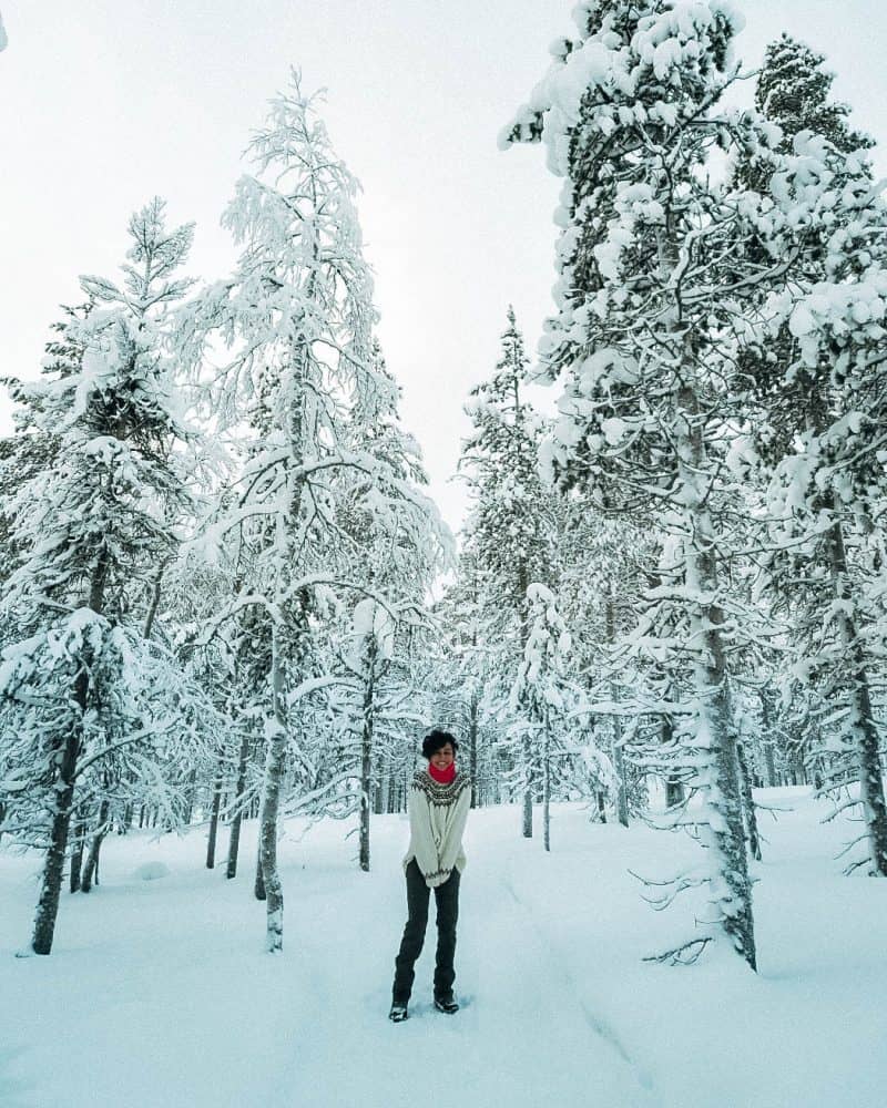 A girl standing amongst snow covered trees Finnish Lapland, Lapland destinations, Lapland Finland, Inghams