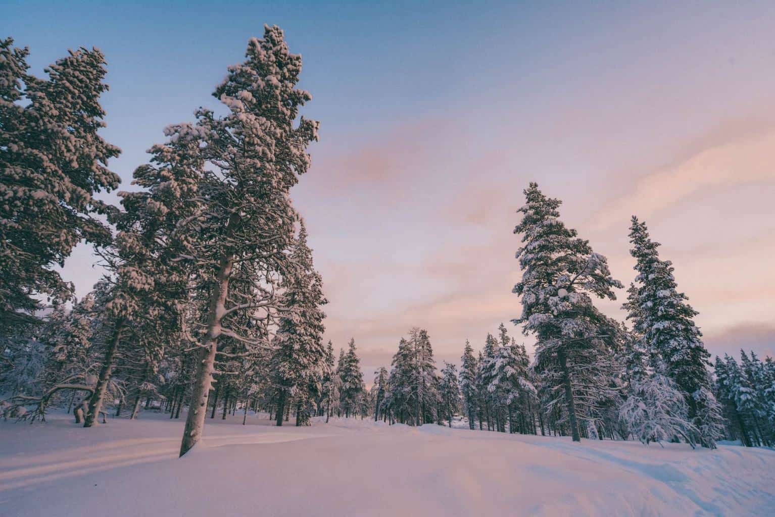 The Definitive FAQ Guide to Winter In Finnish Lapland • The Cutlery