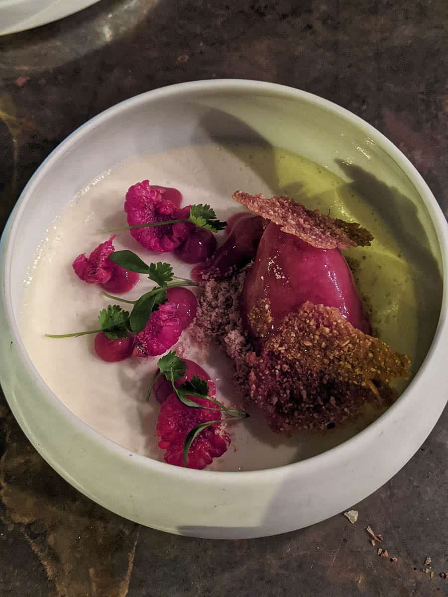 A bowl containing a raspberry based dessert with raspberry sorbet