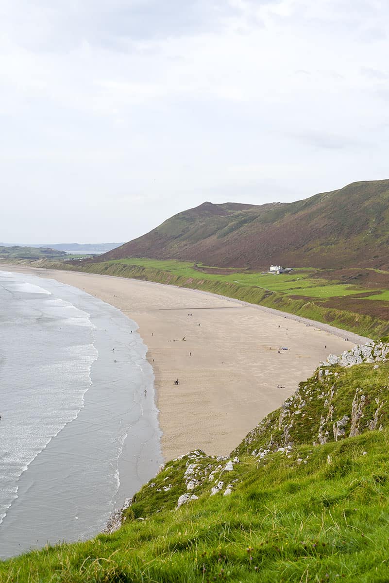 A vast sandy beach from a viewpoint, with a grassy foreground on an overcast day