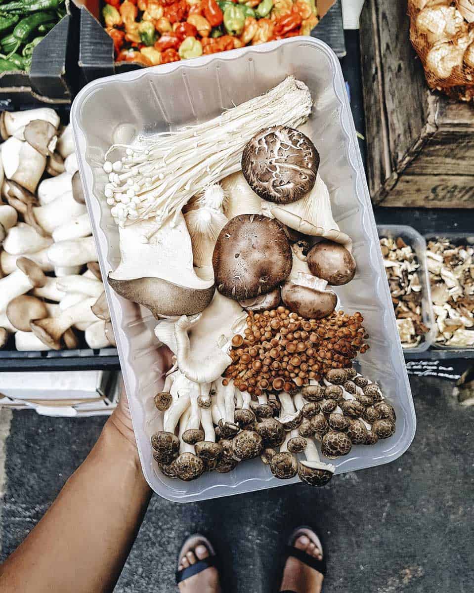 A view from above of a hand holding a plastic container full of different types of mushrooms, with a view of the feet of the person holding the box