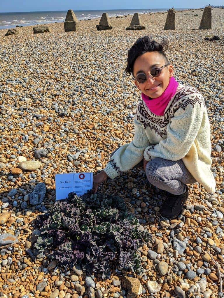 A girl crouched down on a pebble beach looking to the camera, and holding a sign that reads 'sea kale' behind a mass of leaves growing out of the pebbles