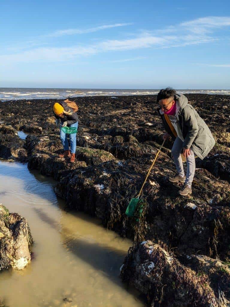 Two girls standing on a rocky shoreline, both dipping fishing nets into the murky sea water under a blue sky