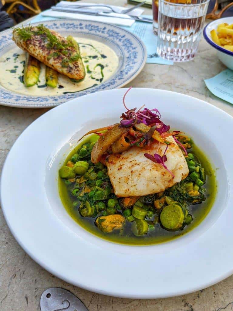 A vibrant restaurant dish comprised of a piece of fish on a green ratatouille of spring vegetables with a second fish dish in the background and a glass of wine