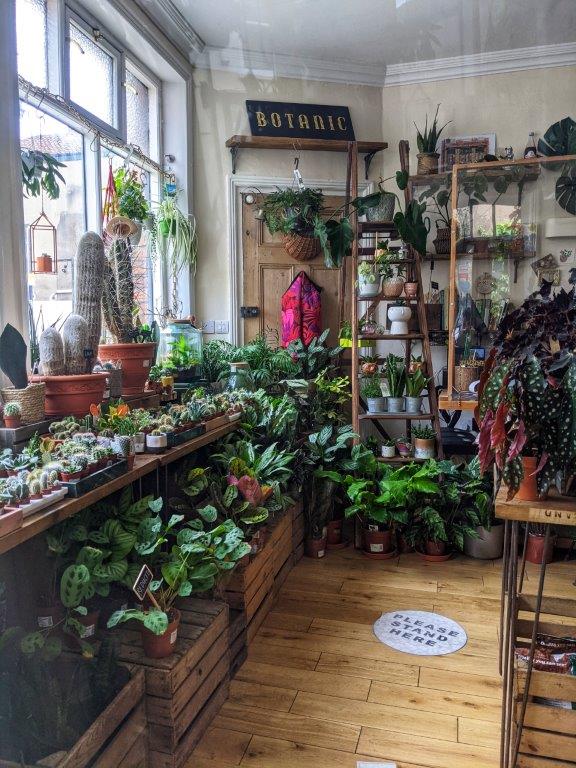 The inside of a shop crammed full with verdant houseplants of every size