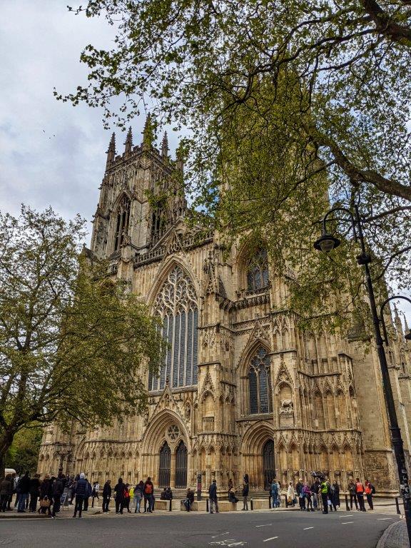 One face of a grand cathedral filling the frame, partially concealed by tree foliage