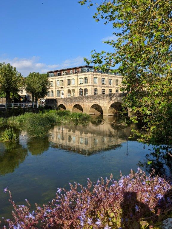 View of an old stone bridge with multiple arches over a still river, with flowers and foliage in the foreground framing the image